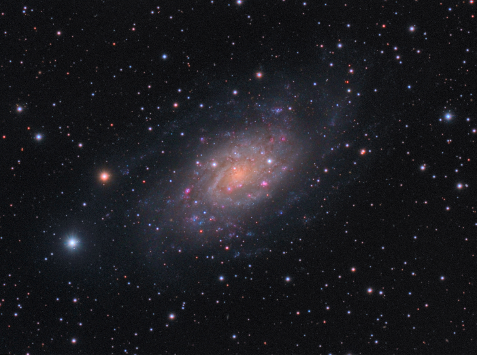 NGC2403 complex 24h 50percent - Галактика NGC2403 в Жирафе
