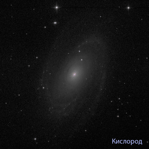 M81 ani - Астрофото: Галактика M81 (водород/кислород)