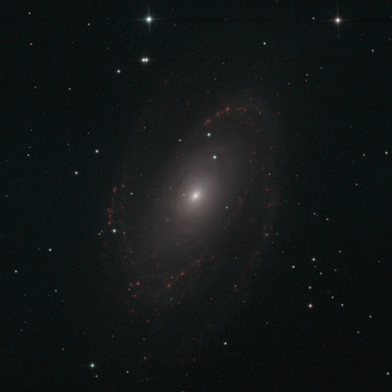 M81 biColor 4h 75percent 768x768 - Астрофото: Галактика M81 (водород/кислород)